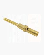 Deutsch 0460-202-1631/100 Gold Pin Size 16